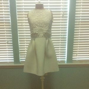 Taylor white scuba dress with floral lace overlay